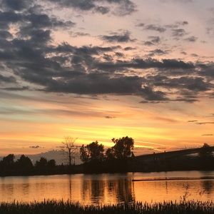 Meet your Posher, Camelia